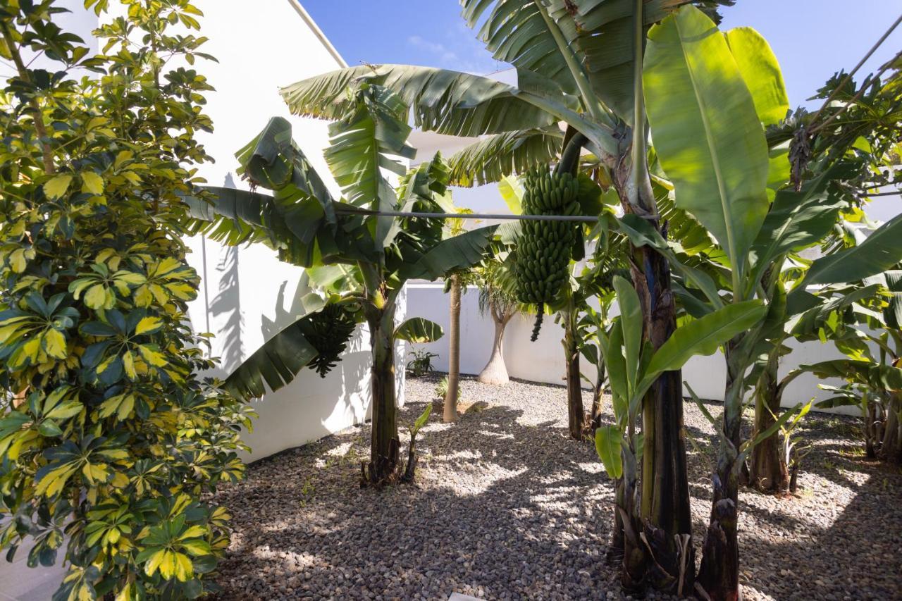 Home2Book Amazing Santa Ursula, Sea Views & Terrace Extérieur photo