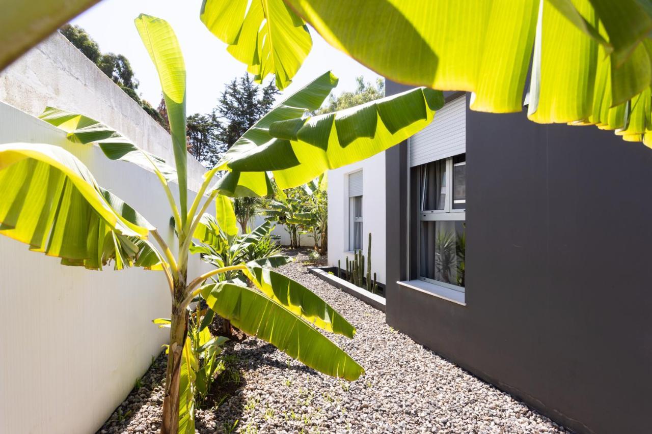 Home2Book Amazing Santa Ursula, Sea Views & Terrace Extérieur photo